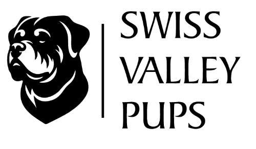 Swiss Valley Pups