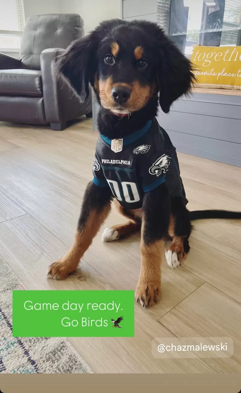 Jojo and Nash Litter